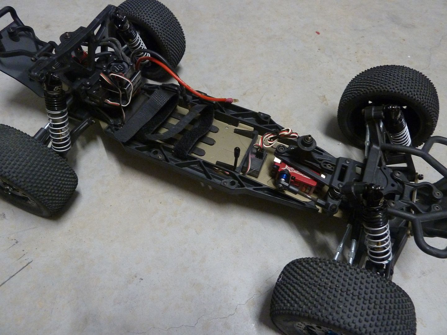 proline short course buggy